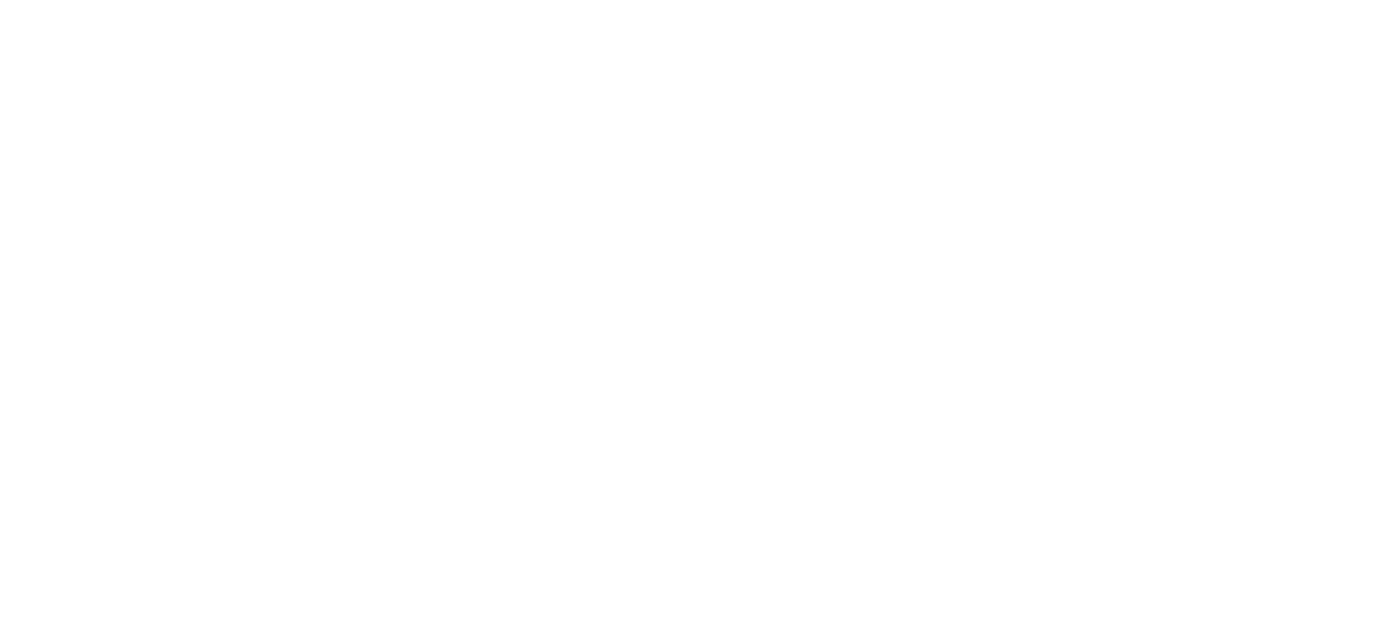 Wynwood Business Improvement District